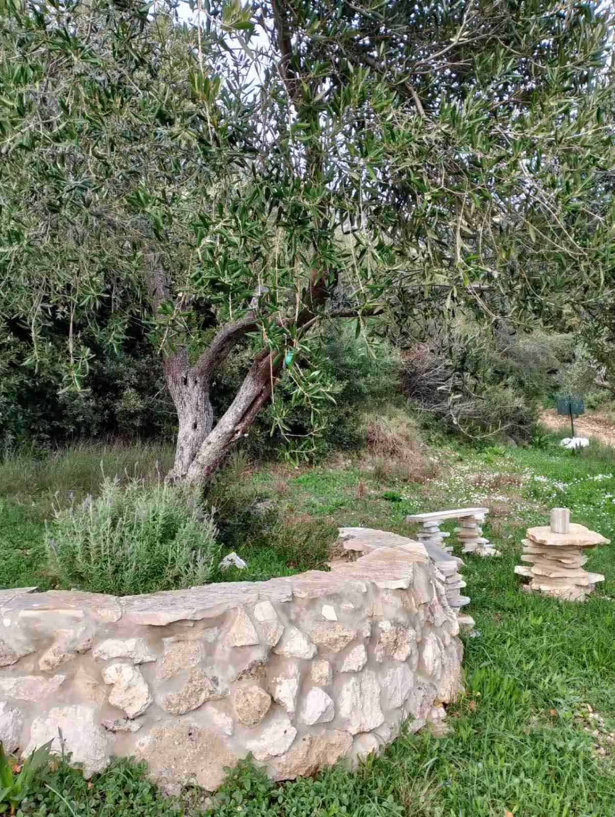 Terraoliva&Herbs Vátos المظهر الخارجي الصورة